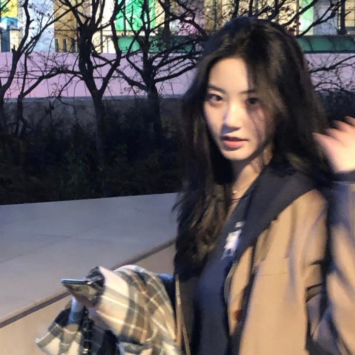 人前叫多莉,人后叫凯蒂